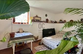 Eladó Szekszárdi tanya hirdetés (53577475)