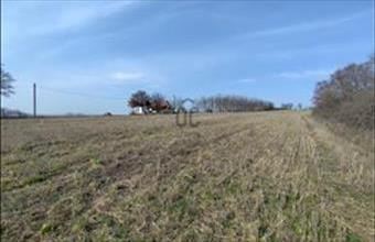 Eladó Magyaralmási külterületi telek hirdetés (52432454)