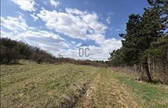 Eladó Vászolyi egyéb mezőgazdasági ingatlan hirdetés (33297973)