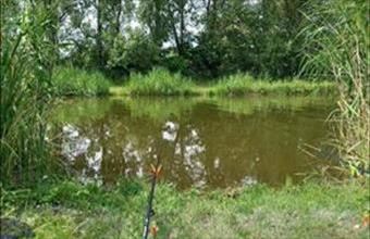 Eladó Dömsödi üdülő hirdetés (27555874)