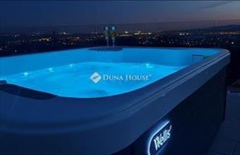 Eladó Szentendrei családi ház hirdetés (24233997)