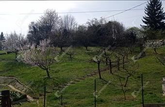 Eladó Zalaegerszegi lakóövezeti telek hirdetés (72615244)