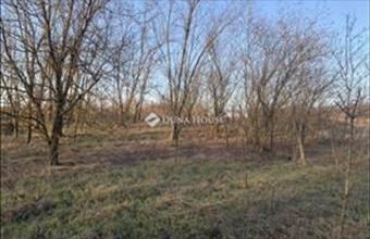 Eladó Őrbottyáni külterületi telek hirdetés (35529759)