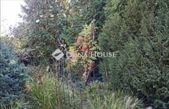 Eladó Kosdi lakóövezeti telek hirdetés (23377344)