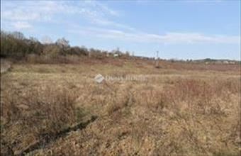 Eladó Váci külterületi telek hirdetés (35772644)