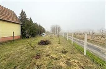 Eladó Albertirsai családi ház hirdetés (34743255)