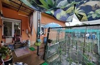 Eladó Vecsési családi ház hirdetés (65853753)