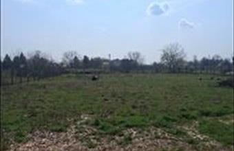 Eladó Békéscsabai egyéb telek hirdetés (58268545)