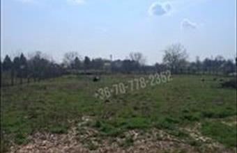 Eladó Békéscsabai egyéb telek hirdetés (58268545)