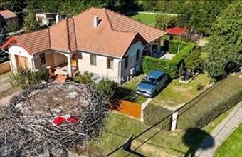 Eladó Bodrogkeresztúri családi ház hirdetés (48764457)