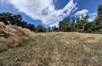 Eladó Ábrahámhegyi termőföld, szántó hirdetés (95393984)