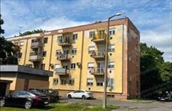 Eladó Miskolci tégla lakás hirdetés (43834846)