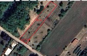 Eladó Albertirsai egyéb telek hirdetés (93366173)