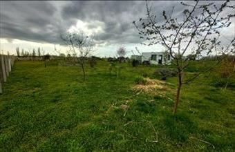 Eladó Szigetcsépi üdülőövezeti telek hirdetés (17368321)