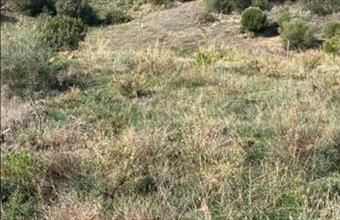 Eladó Spanyolországi lakóövezeti telek hirdetés (35936188)