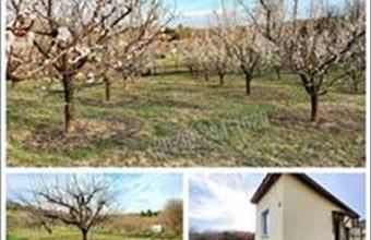 Eladó Váci egyéb mezőgazdasági ingatlan hirdetés (96847693)