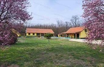 Eladó Nagykőrösi tanya hirdetés (43573899)