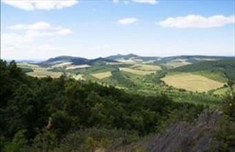 Eladó Béri külterületi telek hirdetés (36346347)