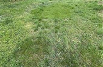 Eladó Budapest XVII. kerületi egyéb telek hirdetés (47743945)