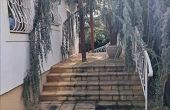 Eladó Tahitótfalui családi ház hirdetés (39288445)