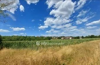 Eladó Ercsi külterületi telek hirdetés (45285954)