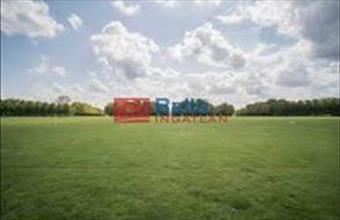 Eladó Székesfehérvári egyéb telek hirdetés (37657323)