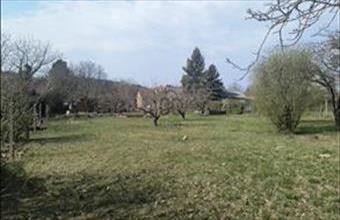 Eladó Pátyi külterületi telek hirdetés (98479983)