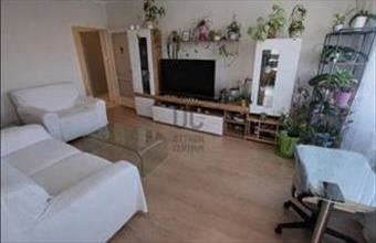 Eladó Szegedi panel lakás hirdetés (29779872)