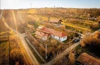 Eladó Fancsali családi ház hirdetés (28374755)