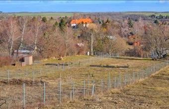 Eladó Balatonkenesei lakóövezeti telek hirdetés (49476441)
