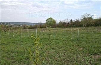 Eladó Balatonkenesei lakóövezeti telek hirdetés (49476441)