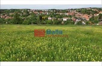 Eladó Berkenyei egyéb telek hirdetés (89379528)