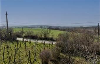 Eladó Csákberényi családi ház hirdetés (72774996)