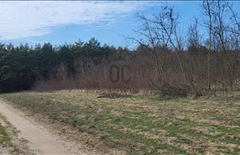 Eladó Csévharaszti lakóövezeti telek hirdetés (82585222)