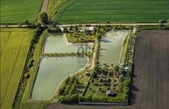 Eladó Daruszentmiklósi étterem, vendéglő hirdetés (79334622)