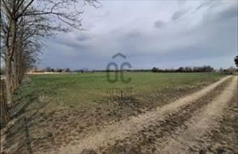 Eladó Ceglédi egyéb mezőgazdasági ingatlan hirdetés (94678472)