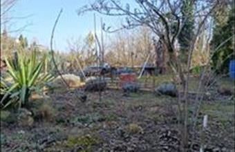 Eladó Zalakarosi lakóövezeti telek hirdetés (37439432)