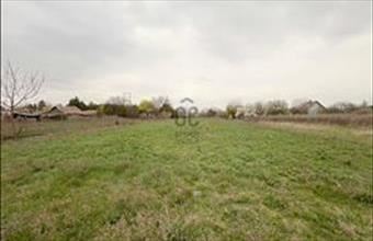 Eladó Szigetszentmiklósi üdülőövezeti telek hirdetés (63384558)