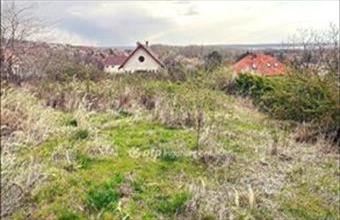 Eladó Sukorói lakóövezeti telek hirdetés (44123388)