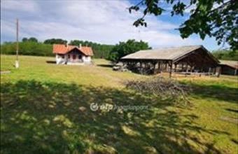 Eladó Örkényi egyéb mezőgazdasági ingatlan hirdetés (38266864)