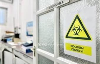 Eladó Diósdi fejlesztési lakóterület hirdetés (39642944)