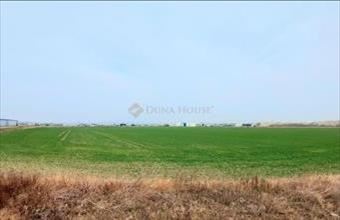 Eladó Szigetszentmiklósi egyéb ipari ingatlan hirdetés (58323748)