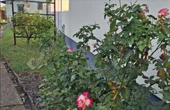 Eladó Komáromi tégla lakás hirdetés (47224246)