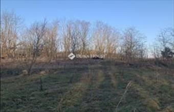 Eladó Őrbottyáni külterületi telek hirdetés (46931348)