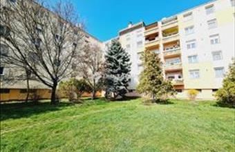 Kiadó Békéscsabai panel lakás hirdetés (94688937)