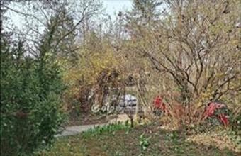 Eladó Budapest II. kerületi családi ház hirdetés (22121855)