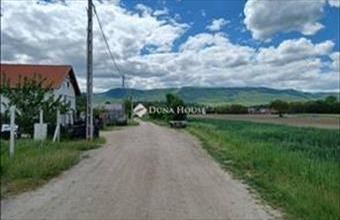 Eladó Tahitótfalui termőföld, szántó hirdetés (51533794)