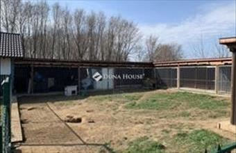 Eladó Őrbottyáni családi ház hirdetés (78223954)