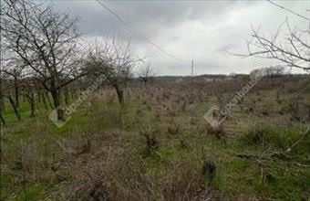 Eladó Simontornyai lakóövezeti telek hirdetés (34917495)