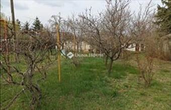 Eladó Szegedi hétvégi ház hirdetés (36323568)